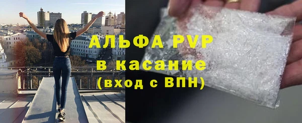 индика Белоозёрский